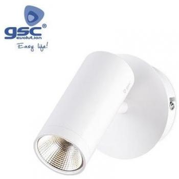 Foco Blanco de Techo GSC 000705200
