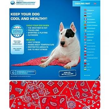 Aqua Coolkeeper Mat Rot Western 05 S 40cm x 30cm