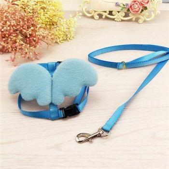 Pet Wings Leash & Collar Duo for Small Dogs & Cats