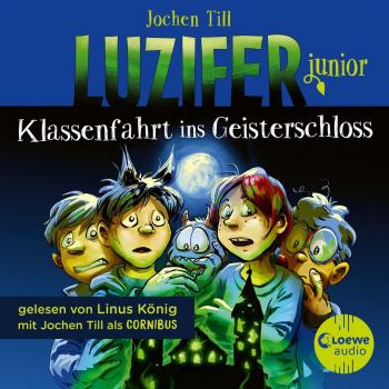 Luzifer junior (Band 15)