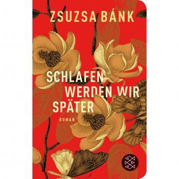 Zsuzsa Bánk Schlafen Werden Wir Später: Roman (Fischer Taschenbibliothek)