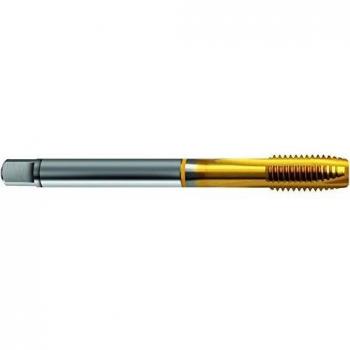 Maschio filettato M8x0,50 HSSE TiN Formato B