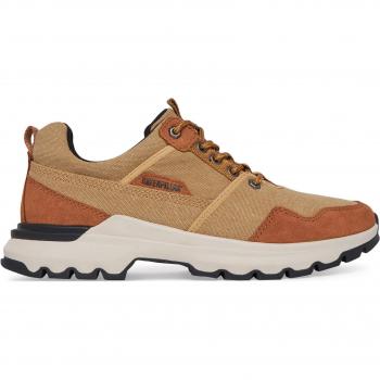Sneakers CATerpillar Low Canvas P726177 Orange