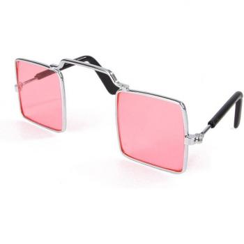 Stylish Statement Glasses for Cats