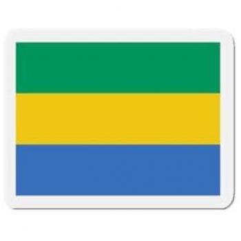 Gabon Flag Fridge Magnet