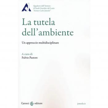 La tutela dell'ambiente. Un approccio multidisciplinare