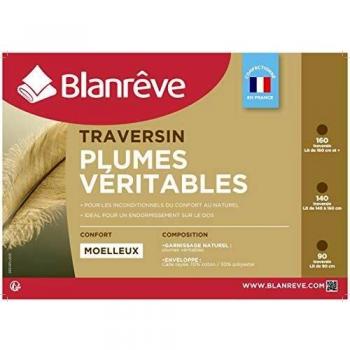 Blanreve 140 cm See-Through Pillow
