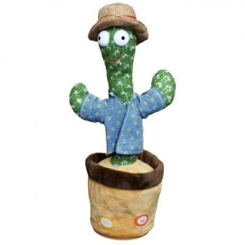 Boîte à musique Cactus éducatif