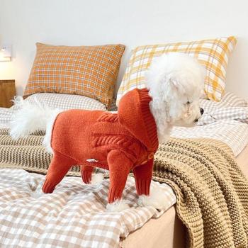 Chihuahua Winter-Outfit: gestrickter Hundeshirt mit Schirmseite