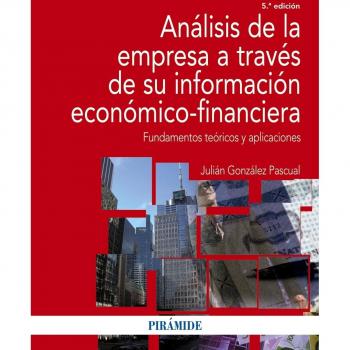 Análisis de la empresa a través de su información económico-financiera