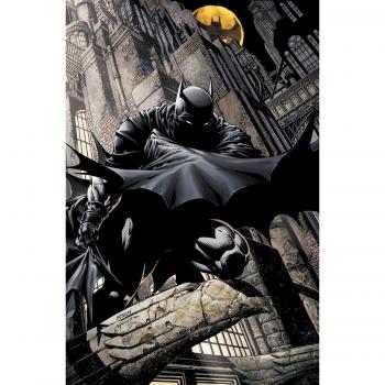 Batman Time And The Batman TP,Nicieza, Fabian Fabian Nicieza, Gr