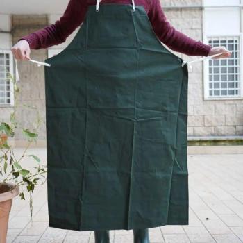 Abbigliamento Professionale Issaline Verde 110x75 cm