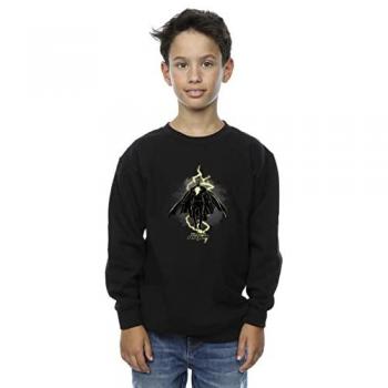 Black Adam Boys' Size 12-13 Black Hoodie – DC Comics Hovering Bolt