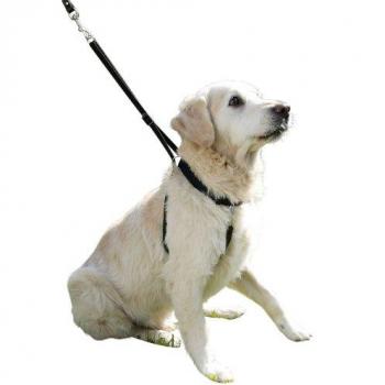 Harnais de Dressage Maxi Leader Gentle Chien Noir Taille 3 (45-60 cm)