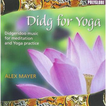 Alex Mayer Didg for Yoga (CD)
