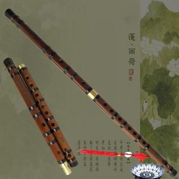 Flauta China Vibrante