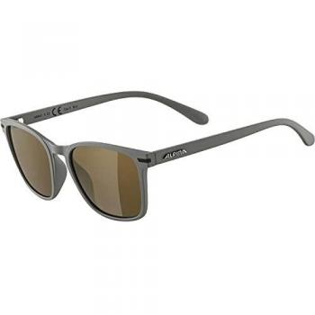 Alpina Yefe A8647322 Standard Size Men's Grey Sunglasses