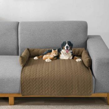 Terapia de Descanso Canina