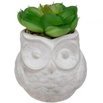 Cemento Chic – Vaso per Piante Fatte di Plastica