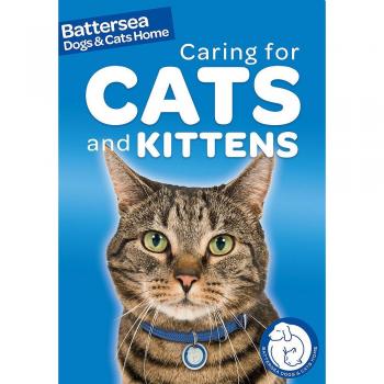 Caring for Cats and Kittens