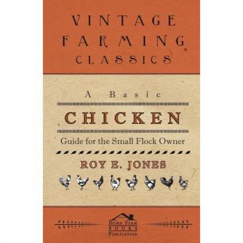 A Basic Chicken Guide For The Small Flock Owner