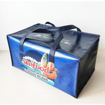 Large Picnic Cooler Bag
