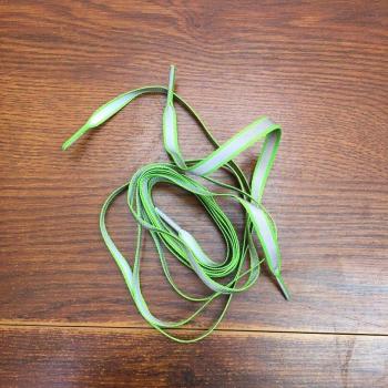 Cordones Deportivos Fluorescentes de 120cm con Reflector