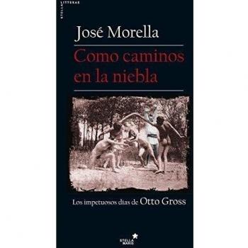 Como caminos en la niebla (Tapa blanda).