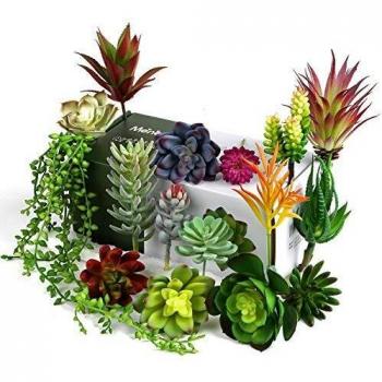 Meneco Faux Succulent Plant Set (16)