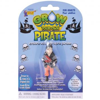 Grow a Pirate Interactive Action Figure