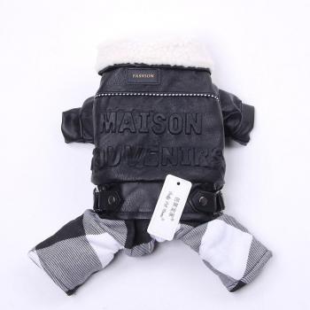 Vêtements chauds pour chat