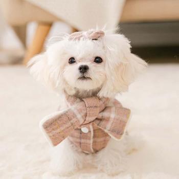 Dog Clothes for Small Medium Dogs