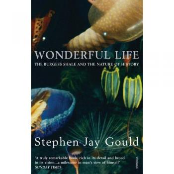 Wonderful Life