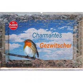 Charmantes Gezwitscher