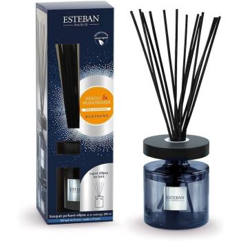 Esteban Ellipse Duftkomposition Neroli & Pagodenbaum 200 ml