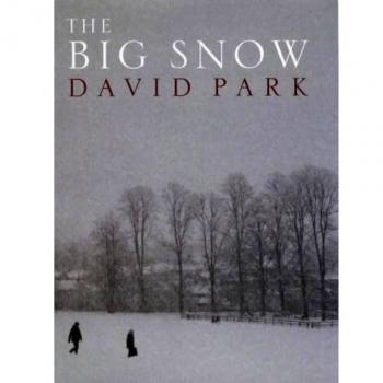 David Park The Big Snow