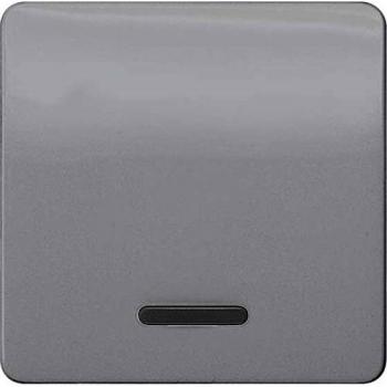 Siemens Indus.Sector Wippe 5TG7920 F.Kontr.Schalter DELTA profil