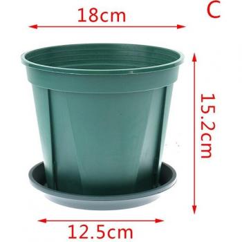 Transplant Container for Home Garden