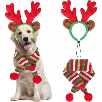 Accesorio Festivo de Reno para Perros