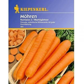 Kiepenkerl Karotten 'Nantaise 2'