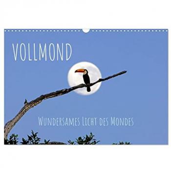 Vollmond: Wundersames Licht des Mondes (Wandkalender 2025 DIN A3 quer) CALVENDO Monatskalender