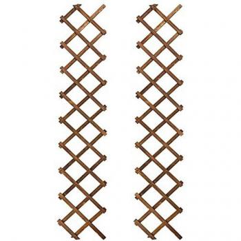 Vertical Wooden Trellis for Air Plants and Climbing Vines