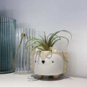 Corgi Companion Garden Succulent Pot