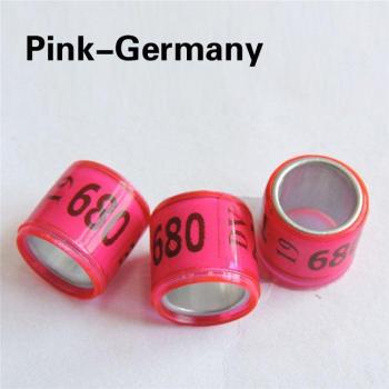 Parrot Identification Rings