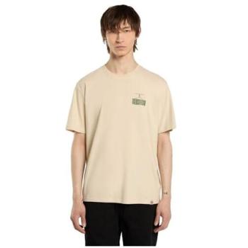 Apison Cotton Shirt – Dickies