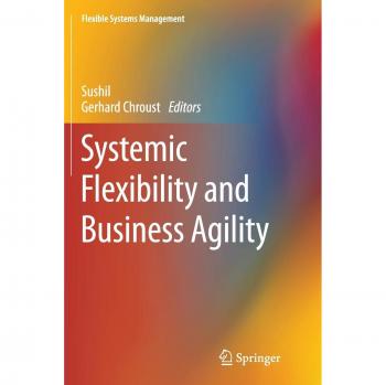 Systemic Flexibility and Business Agility