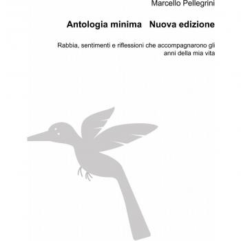 Antologia minima. Rabbia, sentimenti e riflessioni che accompagnarono gli anni della mia vita