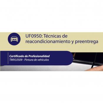 Técnicas de reacondicionamiento y preentrega. TMVL0509