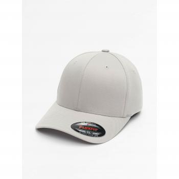 Unisex Silver Flexfit Cap