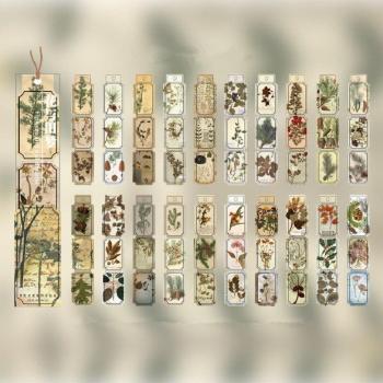 Pegatinas para Álbum de Recortes